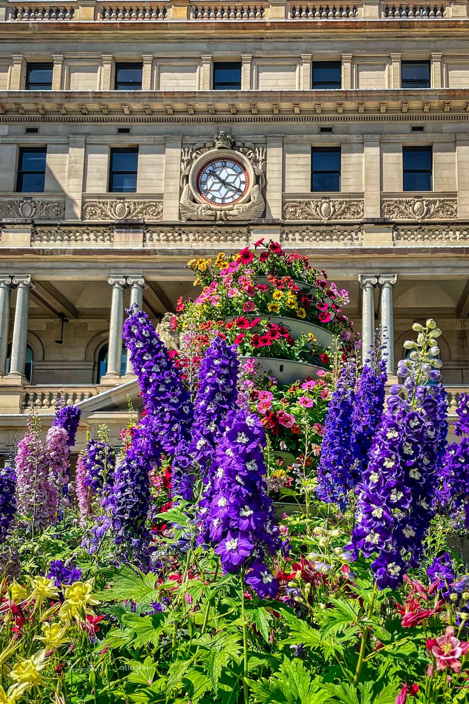 Flowers Custom House, Circular Quay, Sydney, NSW, Australia