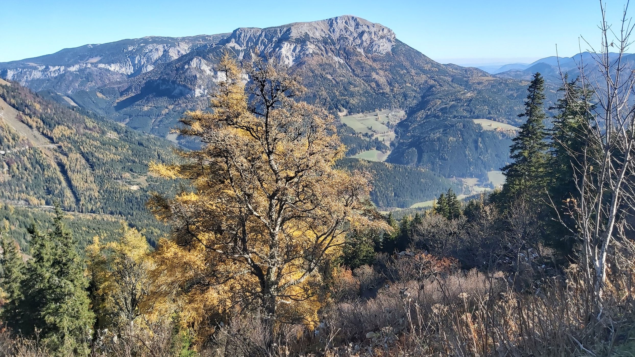 Heukuppe, Austria