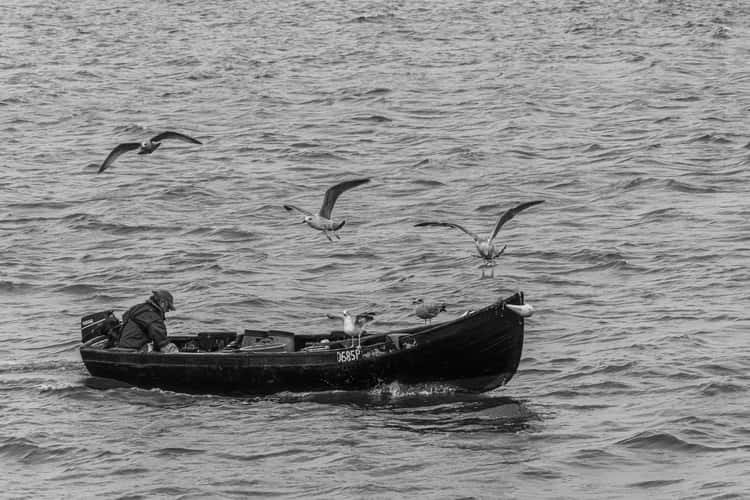 Howth Harbour