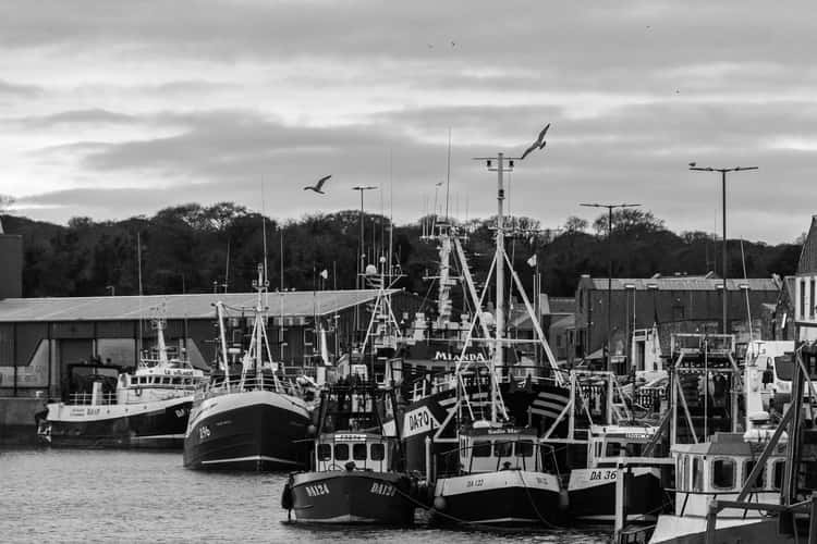 Howth Harbour