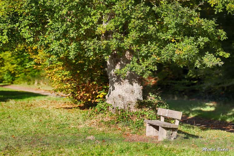 Ille et Rance Canal