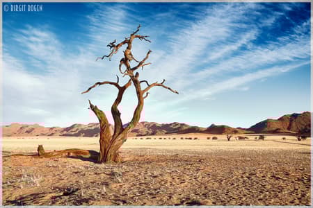 Kanaan N/a’an ku se Desert Retreat, Namibia