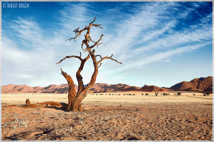 Kanaan N/a’an ku se Desert Retreat, Namibia