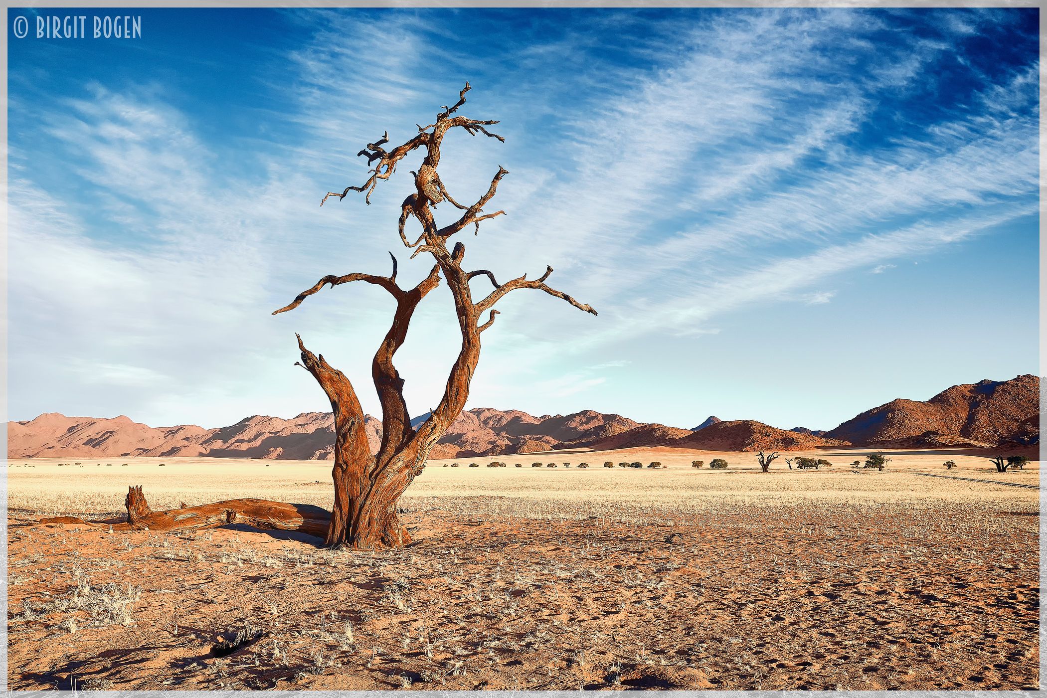 Kanaan N/a’an ku se Desert Retreat, Namibia, Namibia