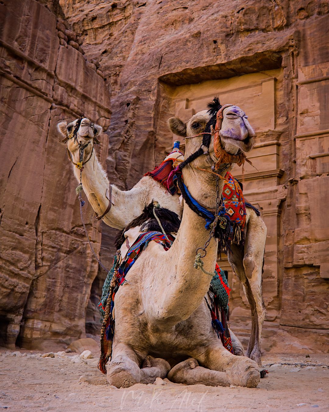 Khazne al-Firaun, Petra, Jordan