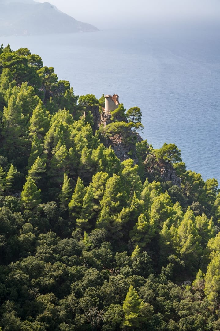Monestir de Miramar, Spain