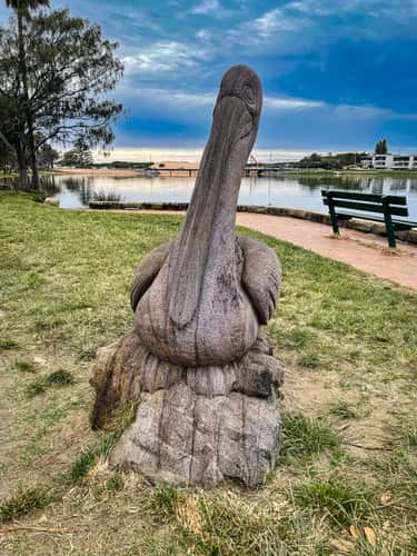Pelican Statue Lagoon, Narrabeen, Sydney, NSW