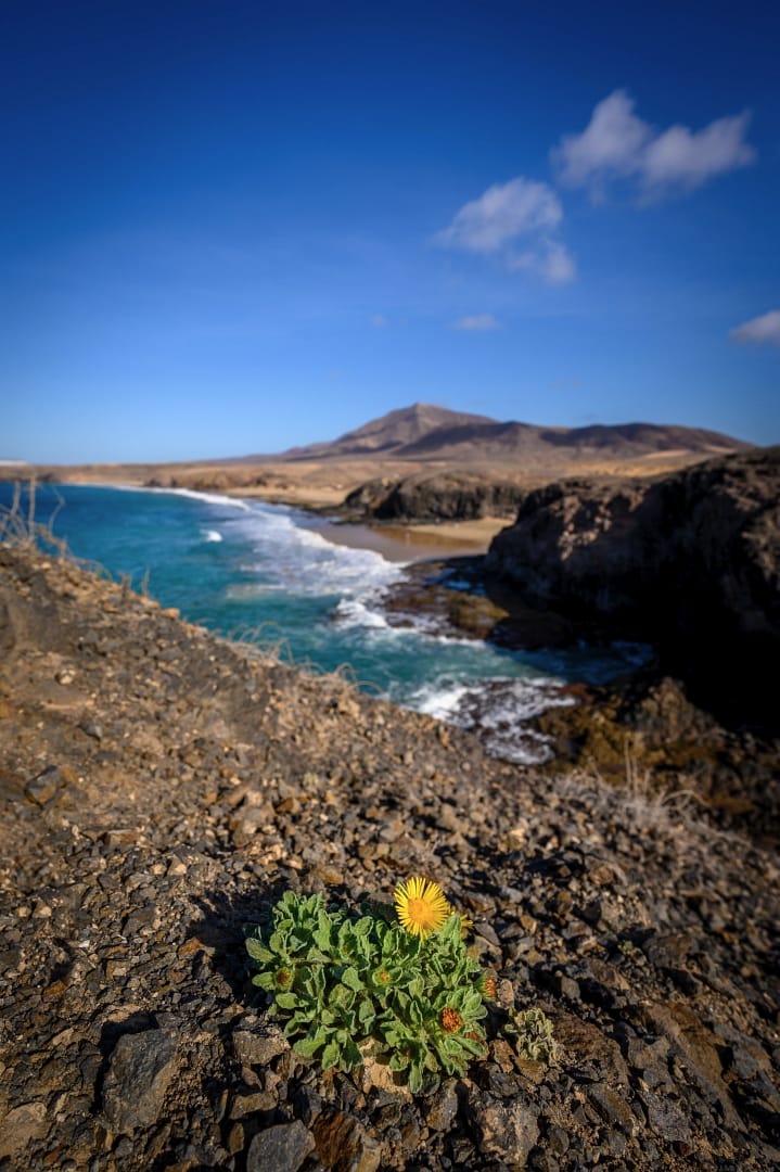 Playa del Papagayo, Spain