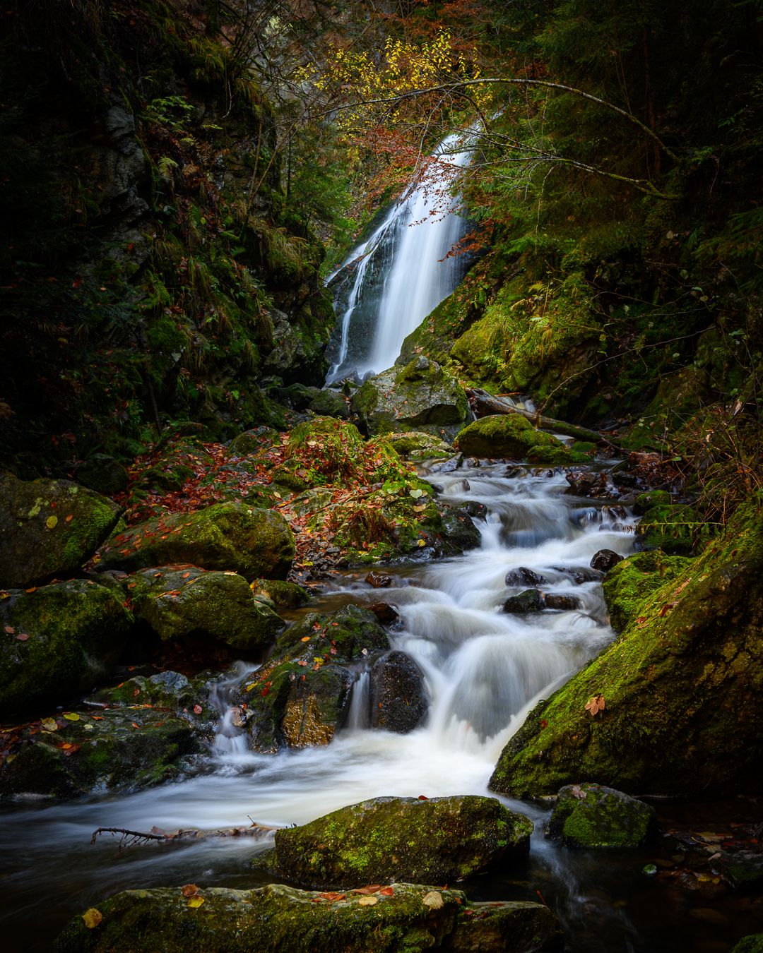 Ravennaschlucht, Black Forest, Germany