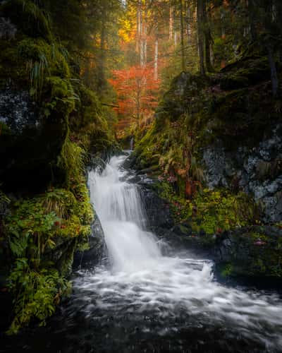 Ravennaschlucht, Black Forest