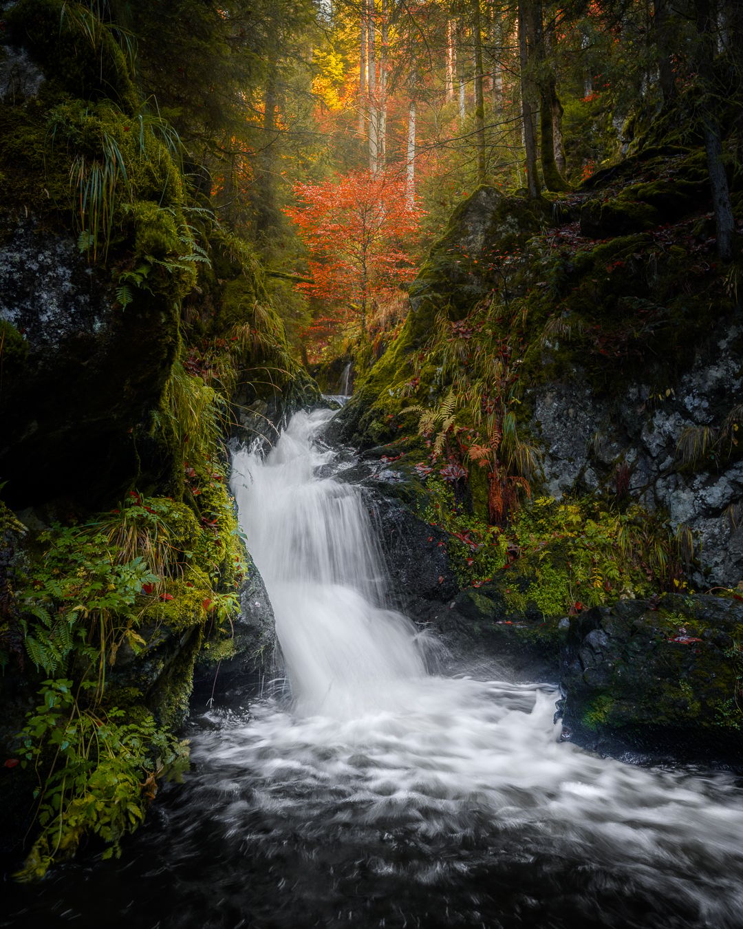 Ravennaschlucht, Black Forest, Germany