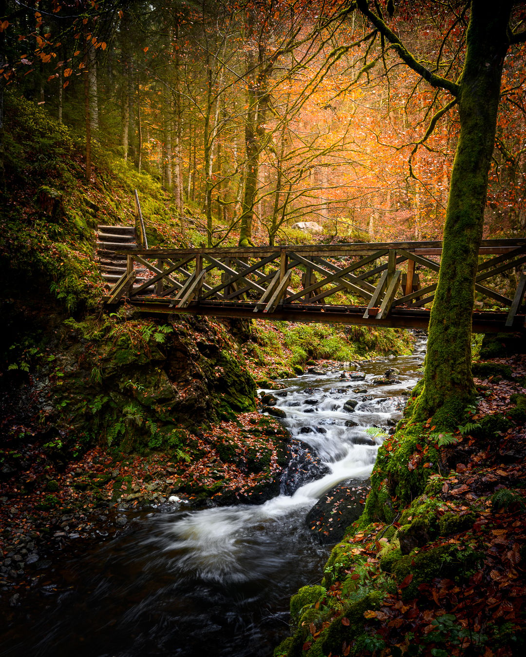 Ravennaschlucht, Black Forest, Germany