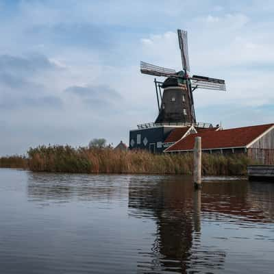 Sägewerk De Rat, Netherlands