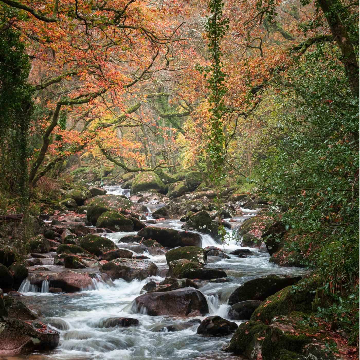 Shaugh Prior Bridge, United Kingdom