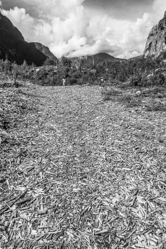 Shavings at San Lucano Valley - Dolomites