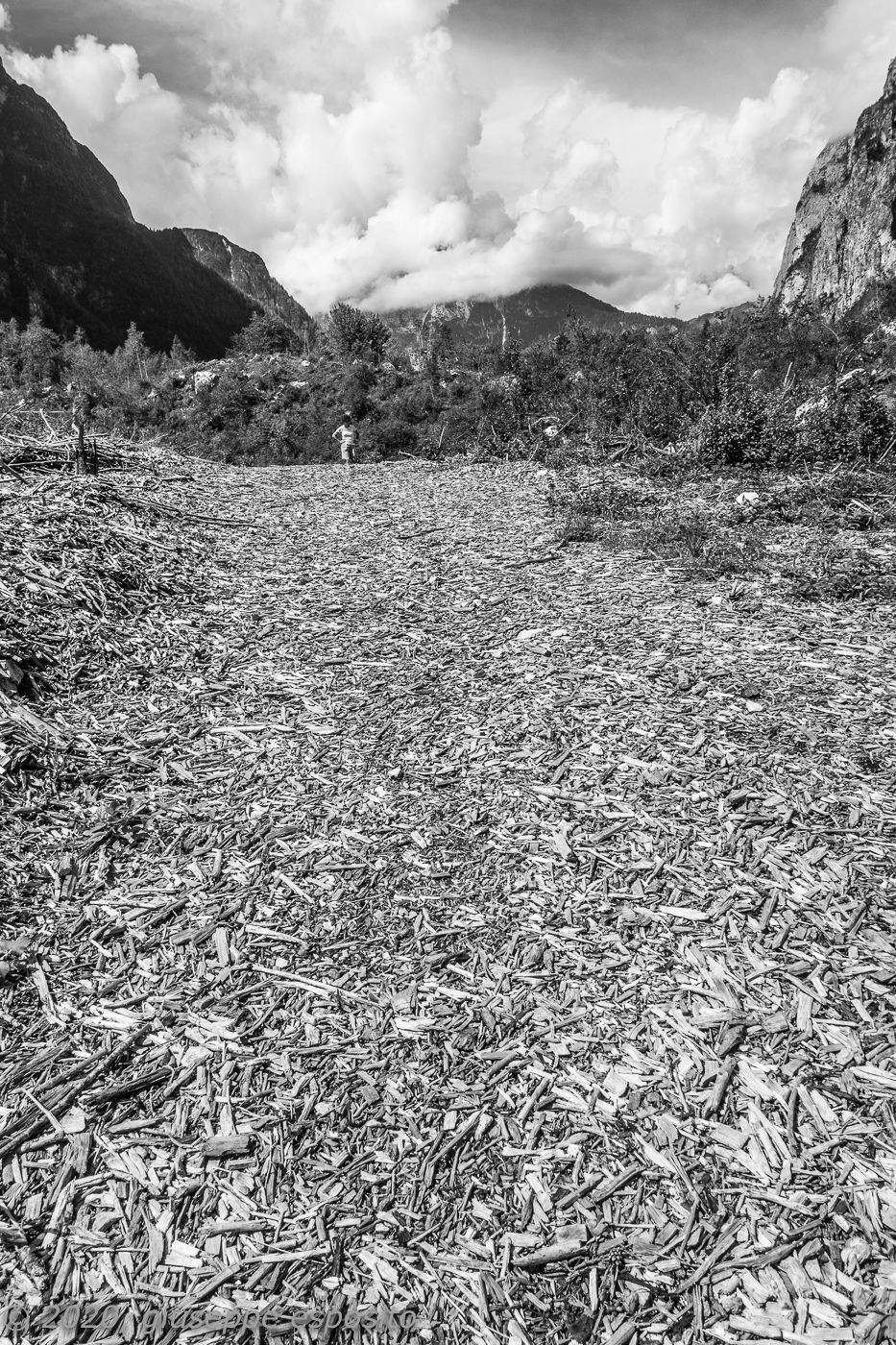 Shavings at San Lucano Valley - Dolomites, Italy