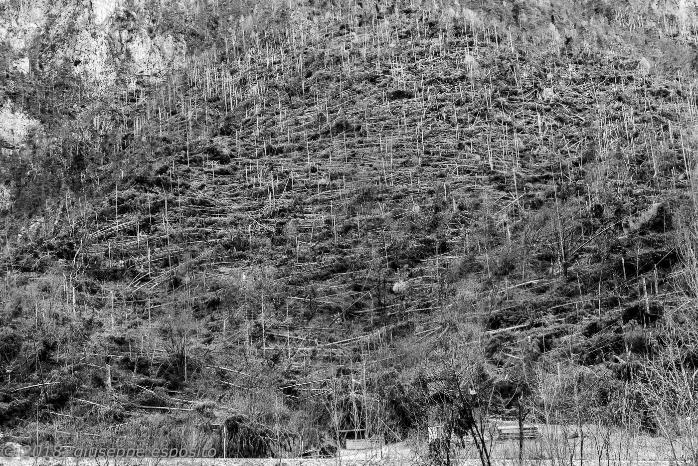 Shavings at San Lucano Valley - Dolomites, Italy