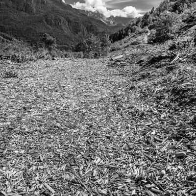 Shavings at San Lucano Valley - Dolomites, Italy