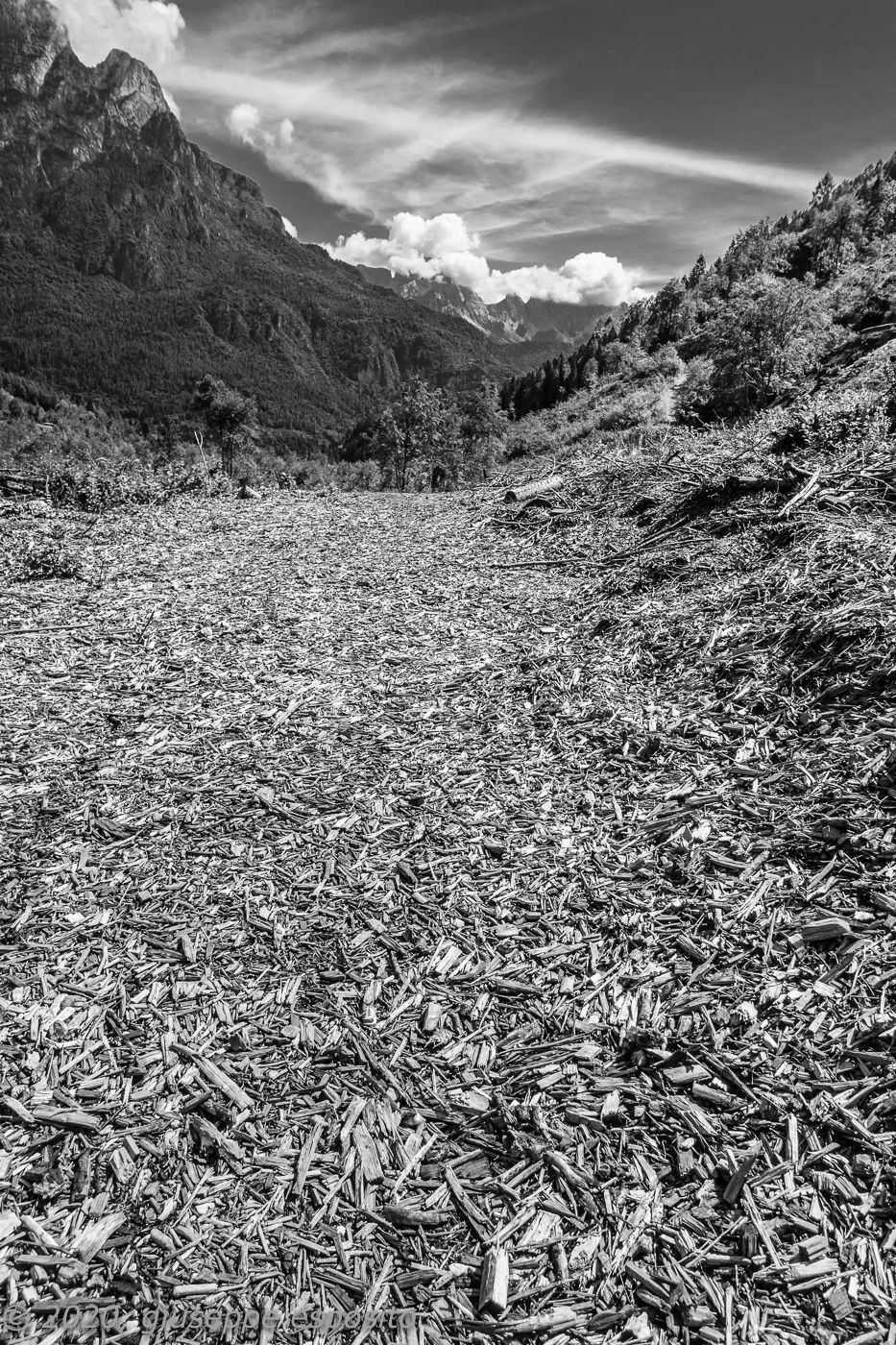 Shavings at San Lucano Valley - Dolomites, Italy