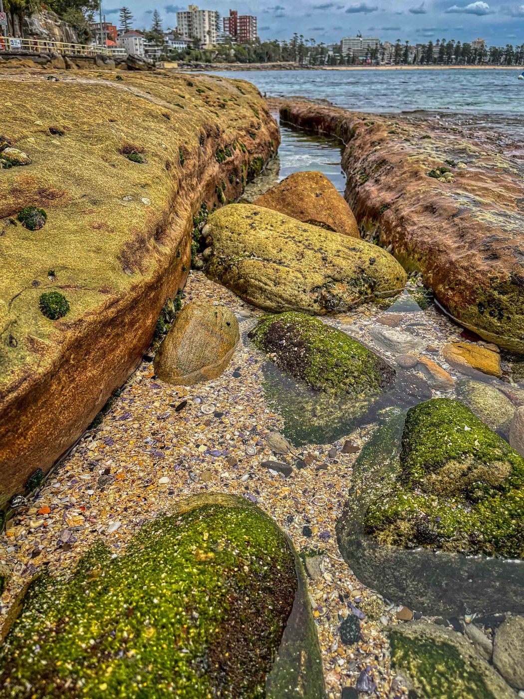 Shelly Beach looking toward Manly, Sydney, NSW, Australia