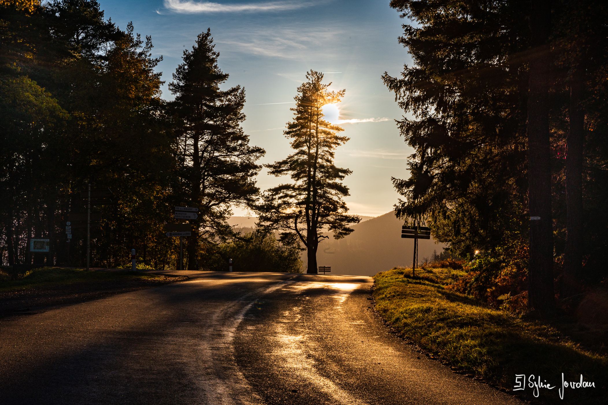 Soldatenfriedhof Col du Wettstein, France