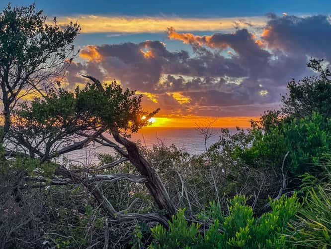 Sunrise Mona Vale headland, Northern Beaches NSW
