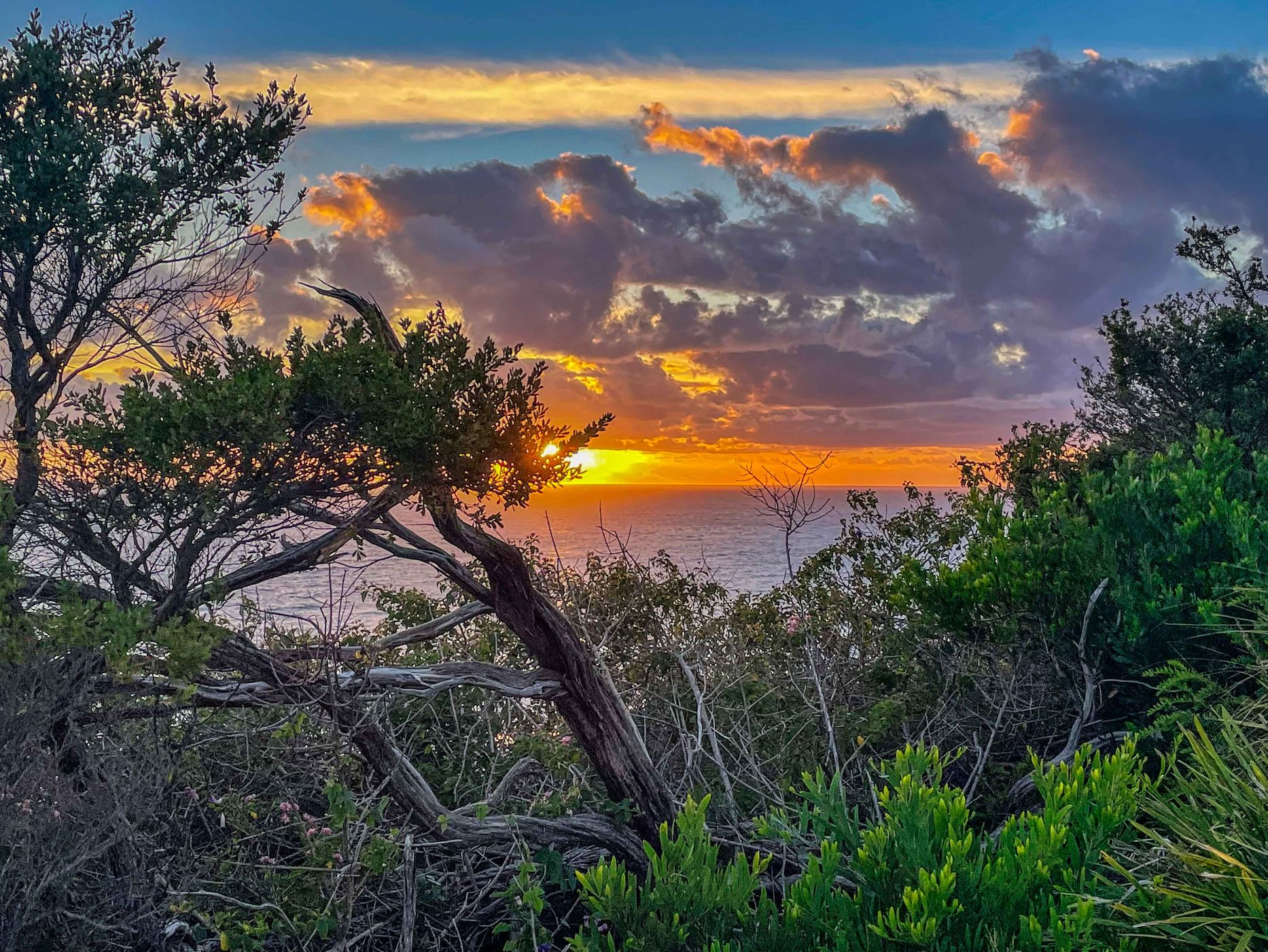 Sunrise Mona Vale headland, Northern Beaches NSW, Australia