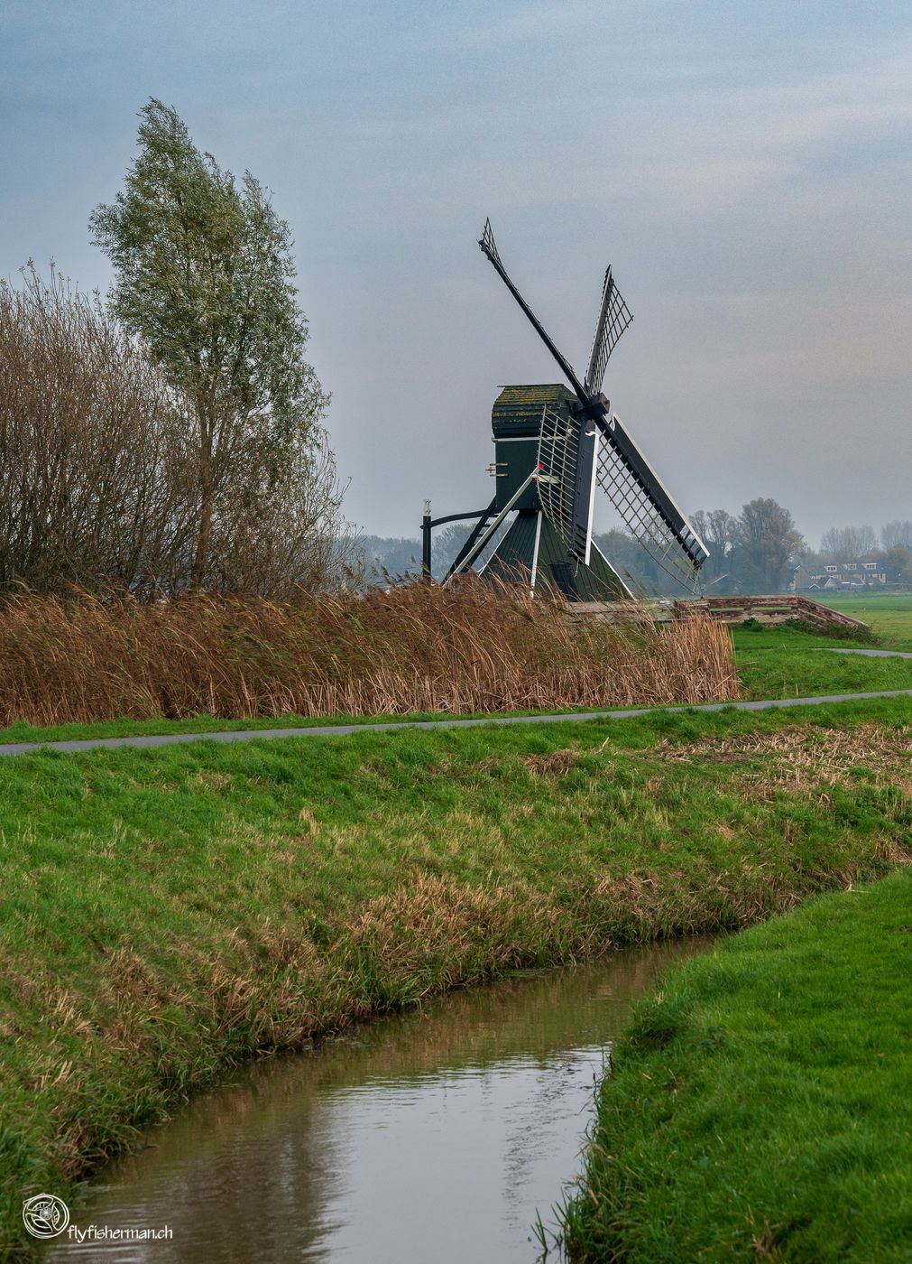 Terpensmole, Netherlands