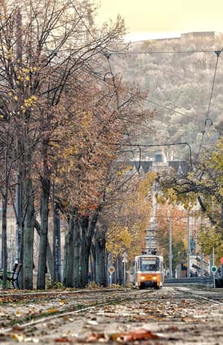 Tram Line Budapest