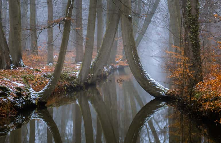 Twickelervaart