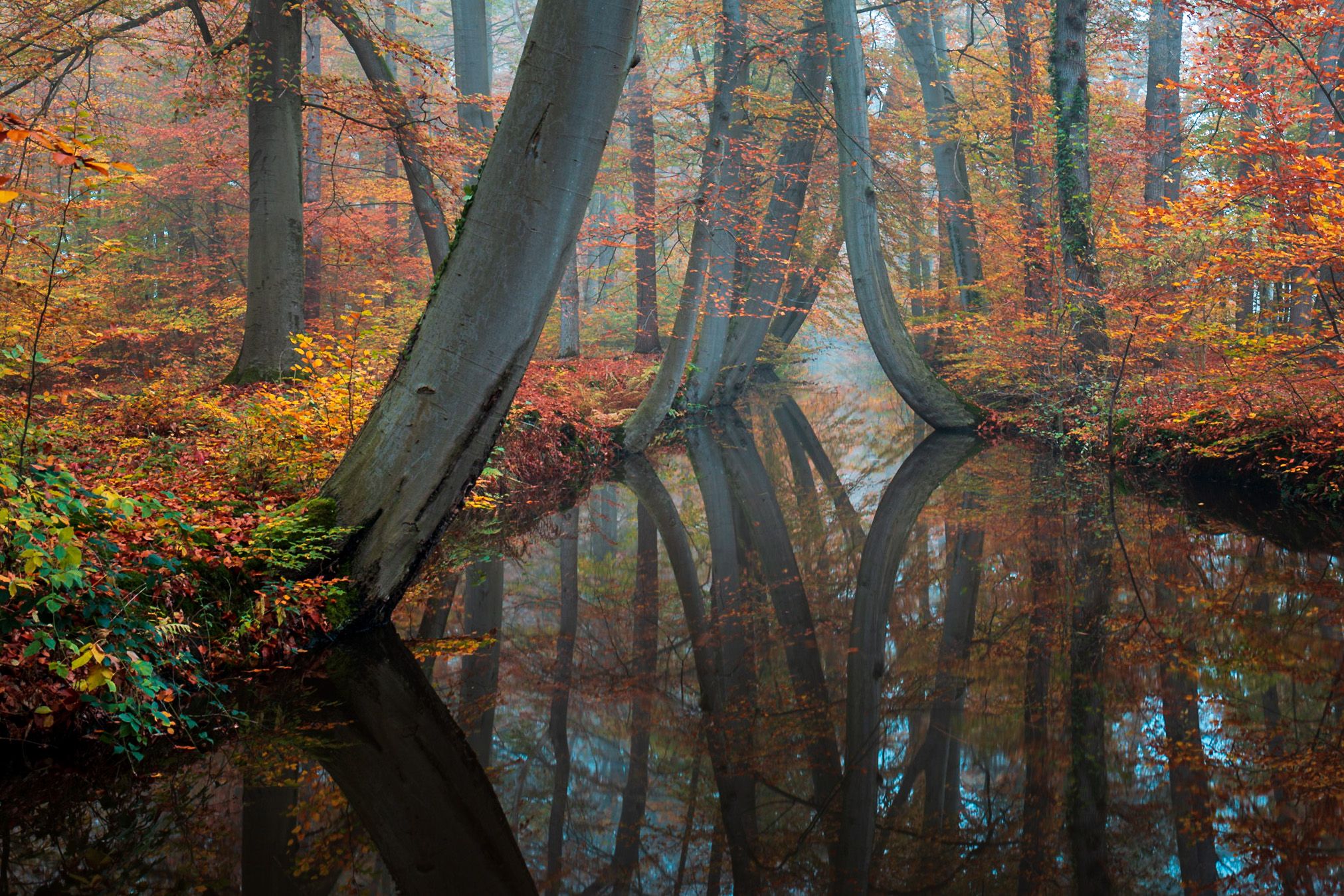 Twickelervaart, Netherlands