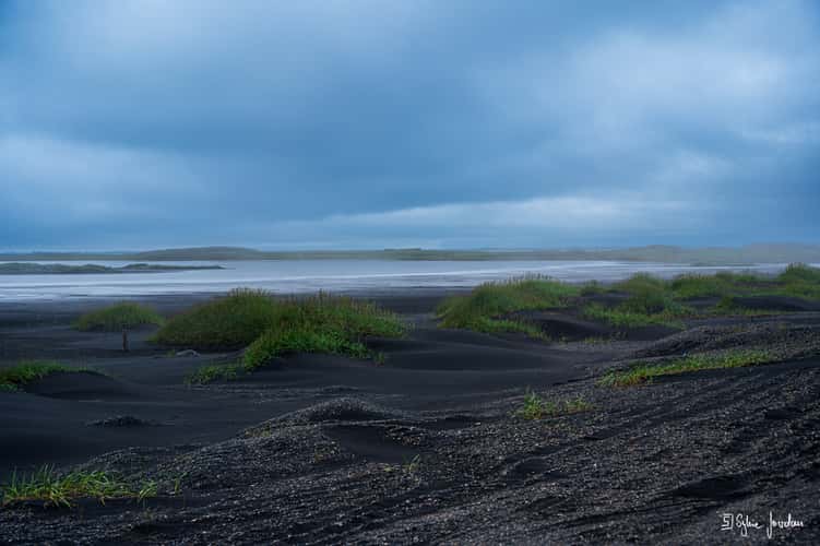 Vestrahorn mirror beach