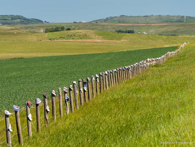 At Alberta's Cowboy Trail