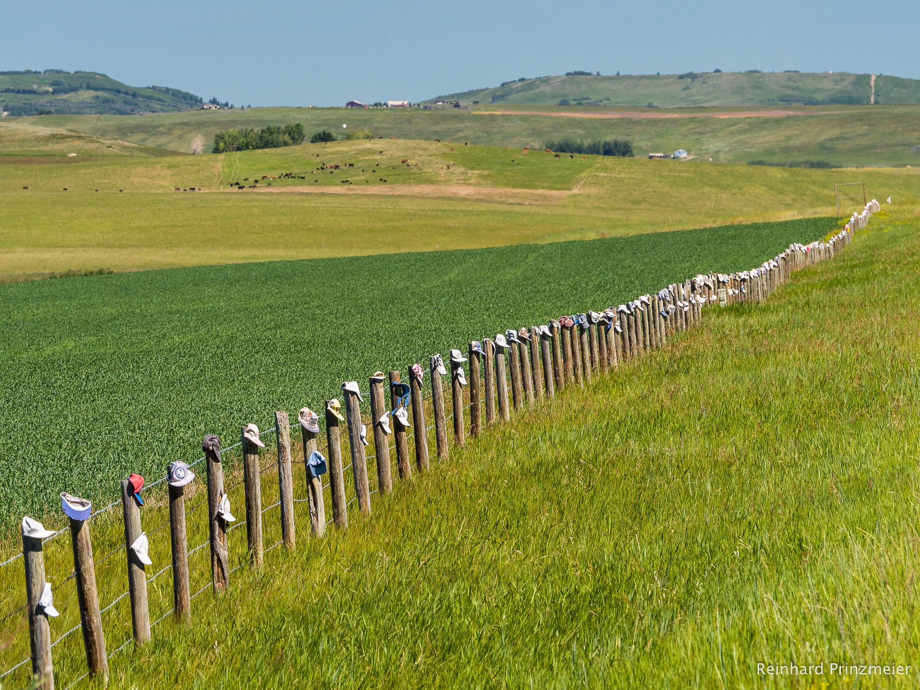 At Alberta's Cowboy Trail, Canada