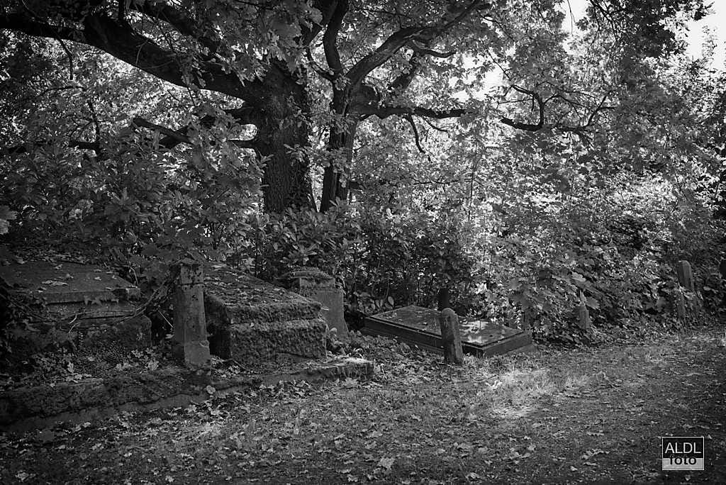 Cemetery, Belgium