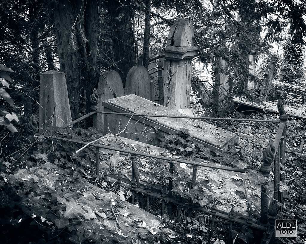 Cemetery, Belgium