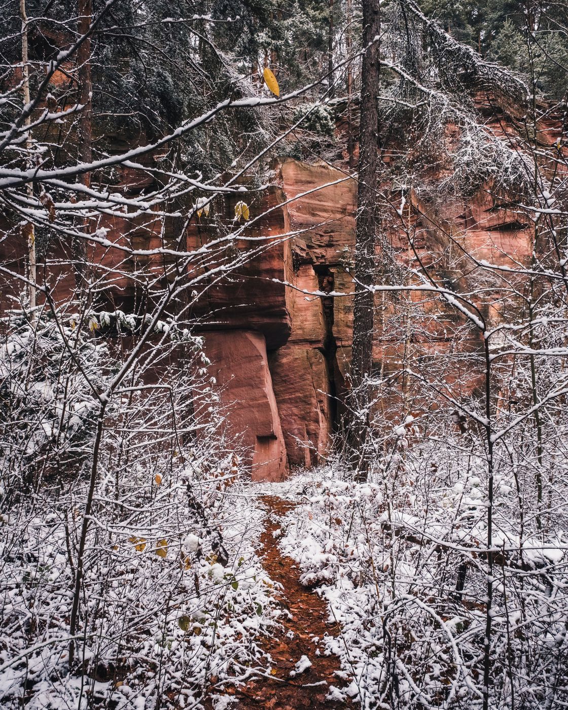 Ciosowa Hill, Poland