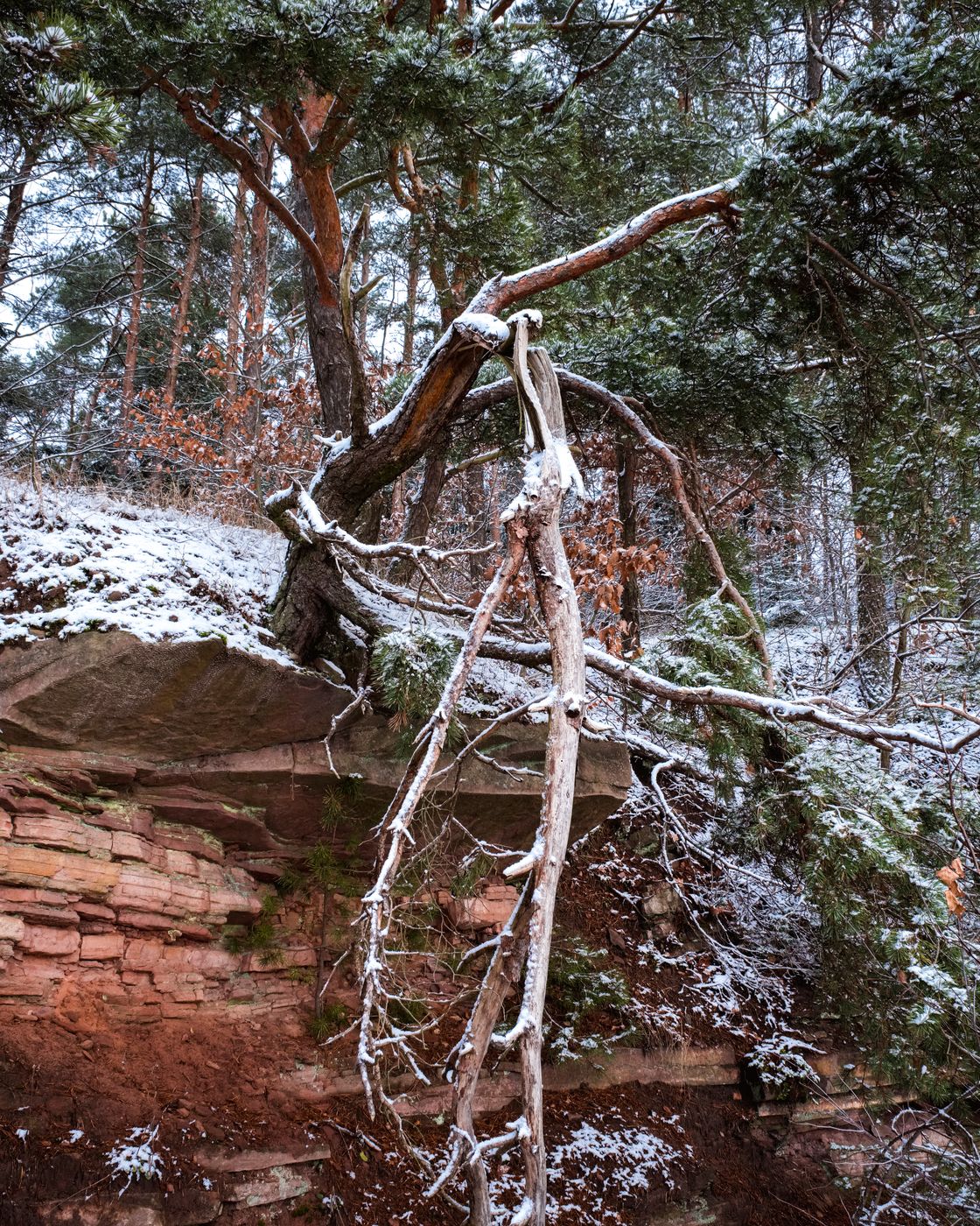 Ciosowa Hill, Poland