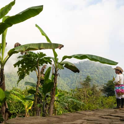 Ciudad Perdida, Colombia