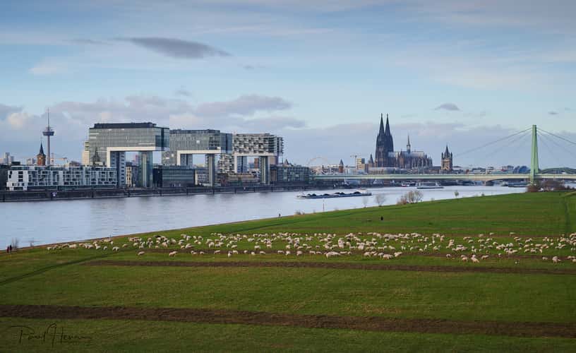 Cologne Panorama from the Southbridge