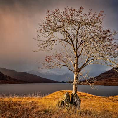 East end of Loch Arklet, United Kingdom