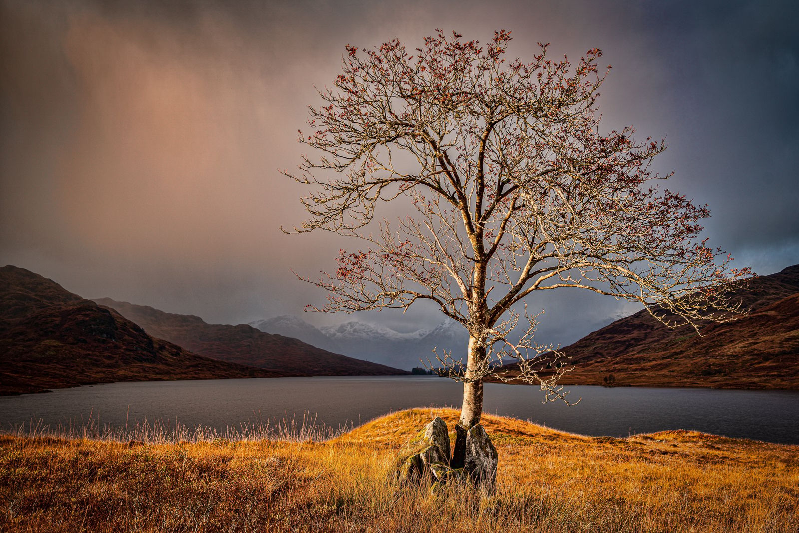 East end of Loch Arklet, United Kingdom