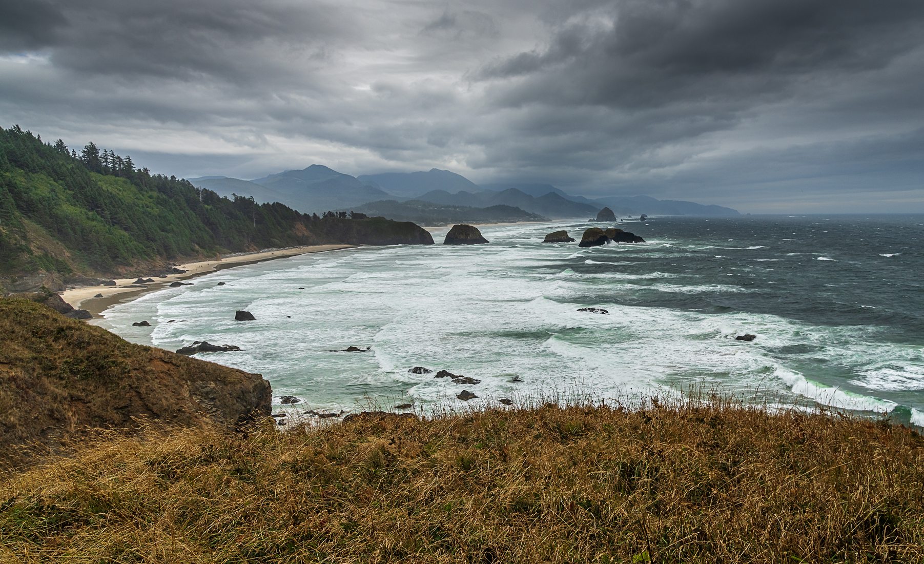 ECOLA STATE PARK, USA