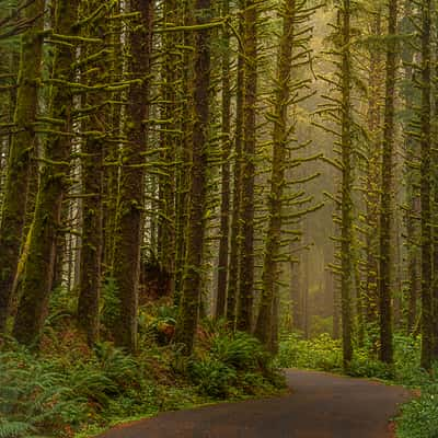 Ecola State Park, USA