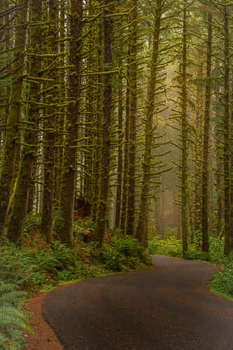 Ecola State Park