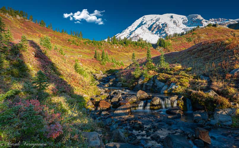 Edith Creek