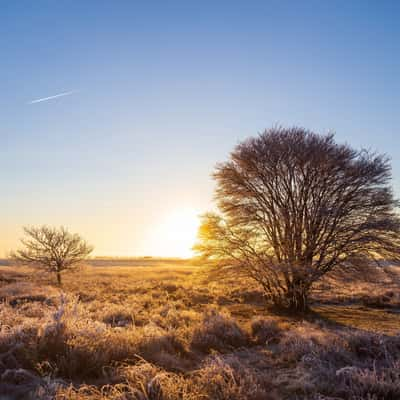 Engbertsdijksvenen, Netherlands