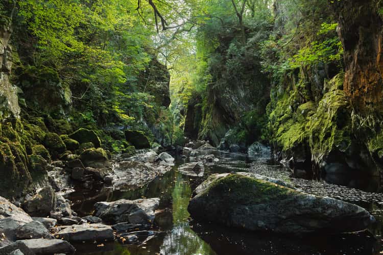 Fairy Glen Gorge