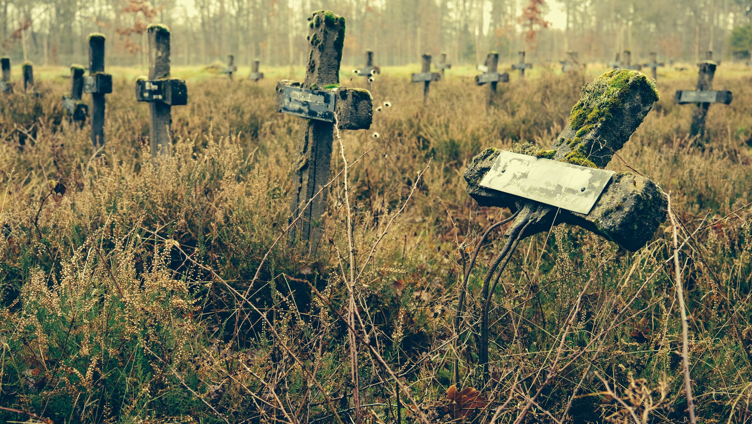 Forgotten cemetery, Belgium