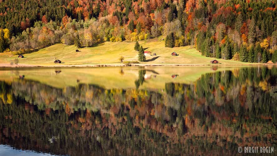 Forest Reflection at Geroldsee, Bavaria